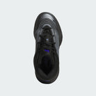 Big Kid's Adidas Dame X "Brookfield"