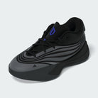 Big Kid's Adidas Dame X "Brookfield"