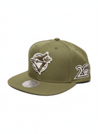 Mitchell And Ness MLB Toronto Blue Jays 20 Snapback