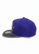 Mitchell And Ness NBA Toronto Raptors Denim Beak Snapback