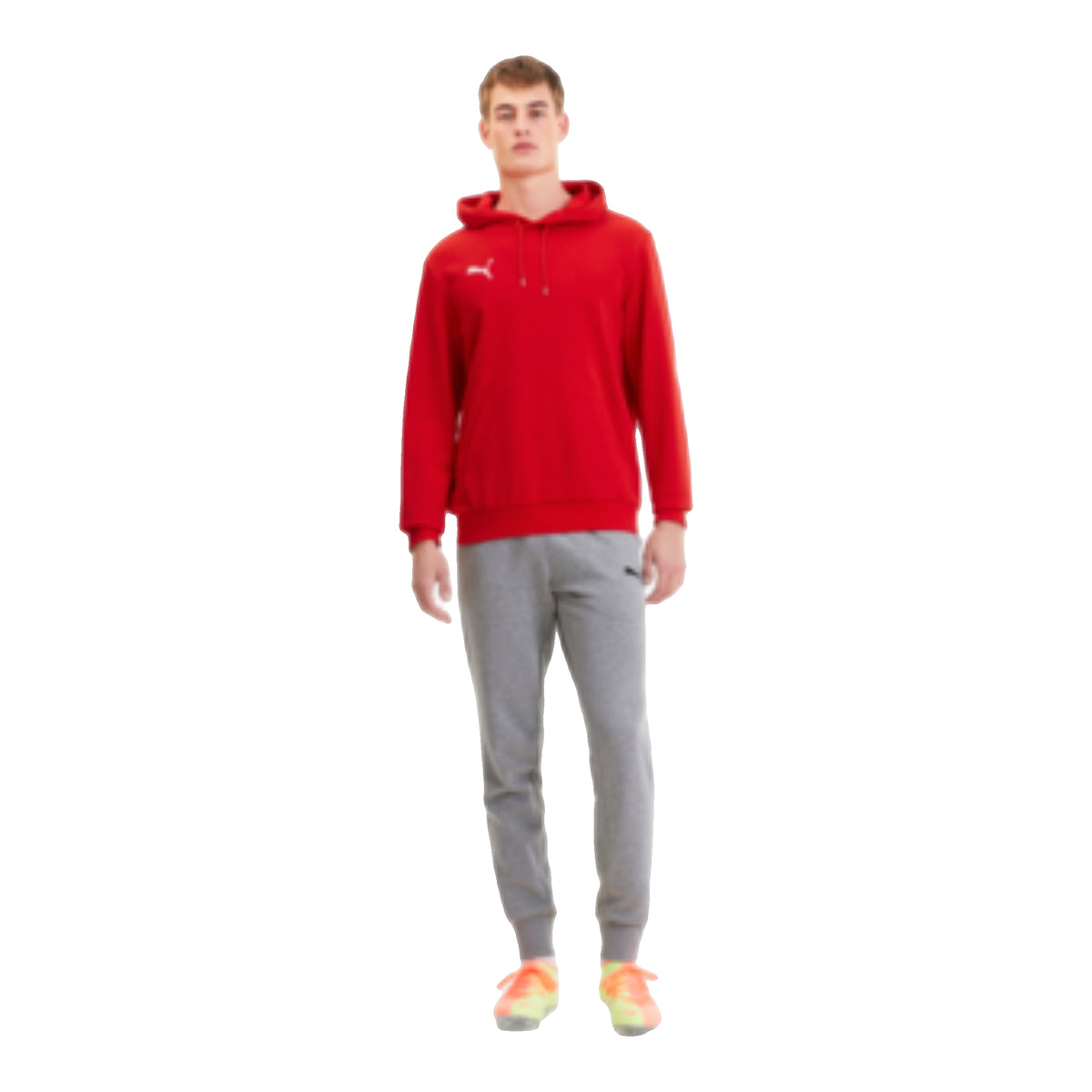 Men's Puma Team Goal 23 Causals Hoodie