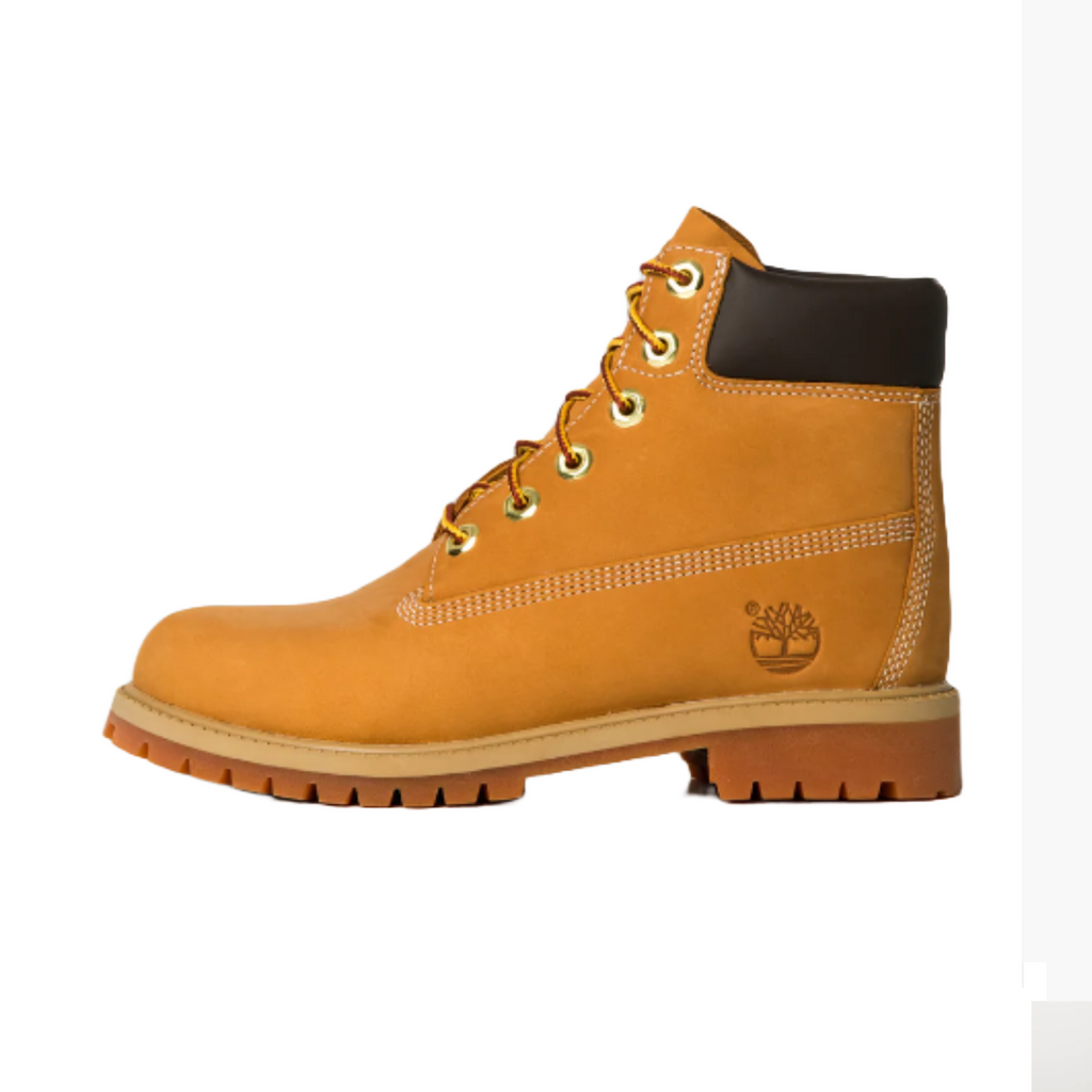 Big Kids' Timberland 6-Inch Premium Waterproof Boots