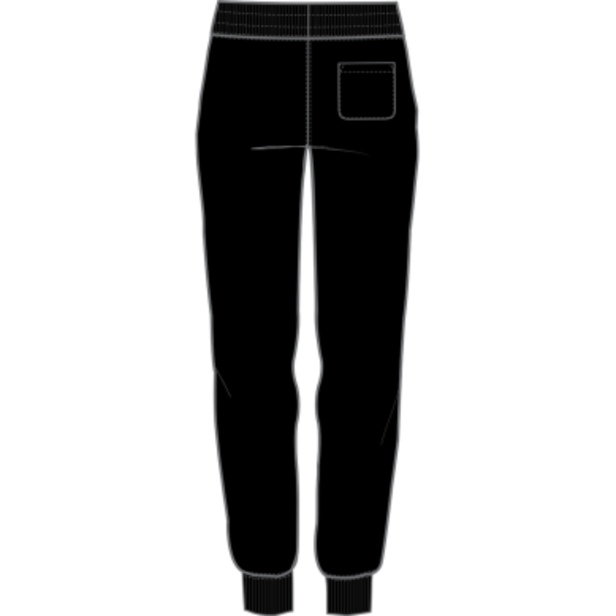 Women's Champion Reverse Weave Jogger